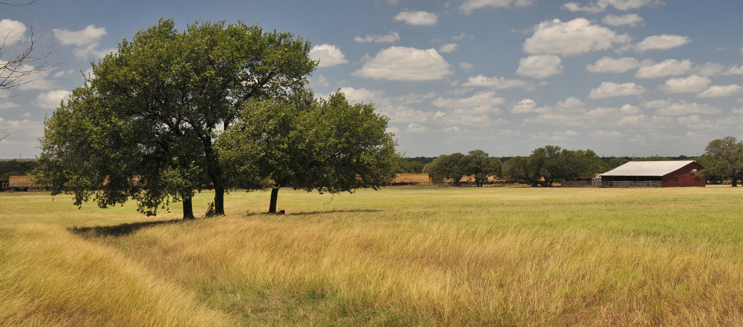 Farm and ranch land for sale in Texas